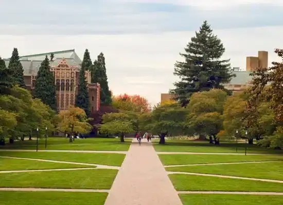 How to Get Into the Best Universities in the USA copy