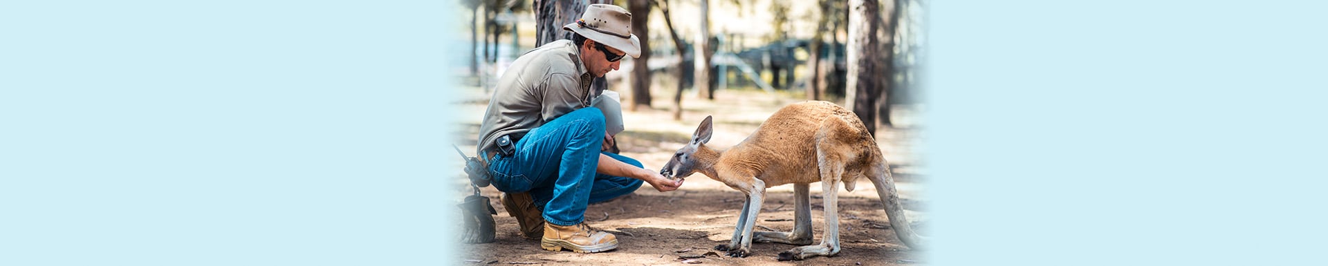 Best Jobs Working With Animals: Follow Your Passion - UoPeople