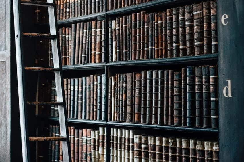 A library shelf with a ladder filled with books to study for major