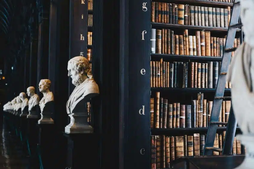 Date un paseo por cualquier biblioteca y encontrarás innumerables libros sobre historia