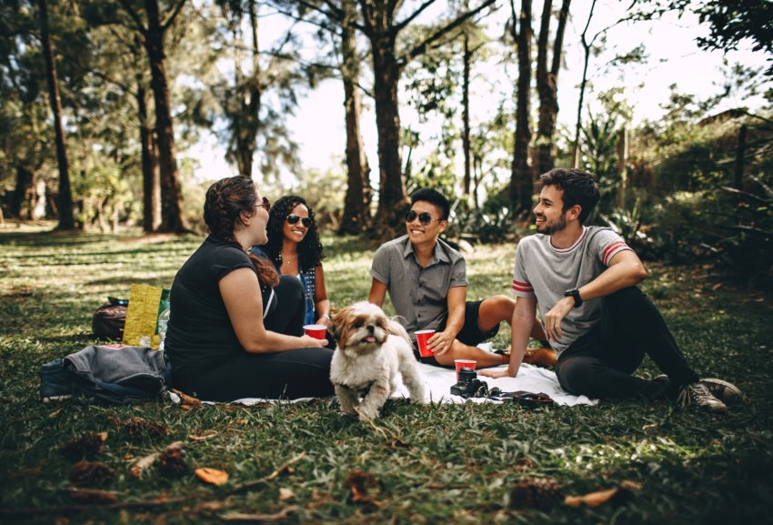 Four students and a dog enjoying a social break from school