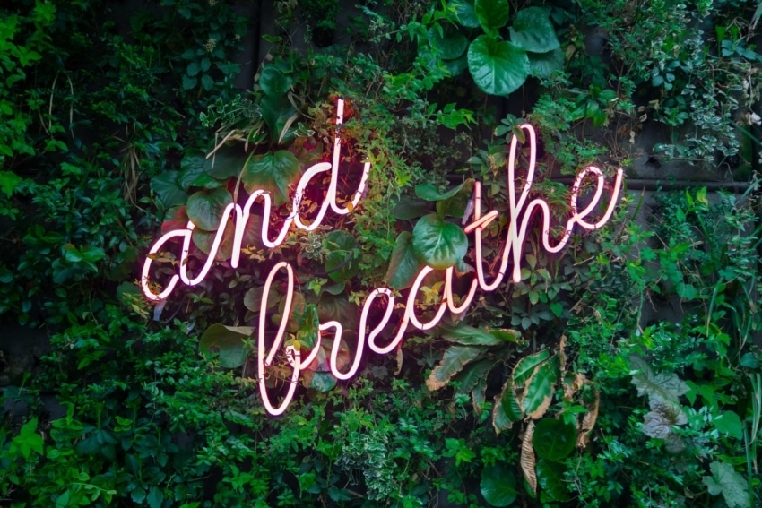 Neon sign saying and breathe on jungle wall
