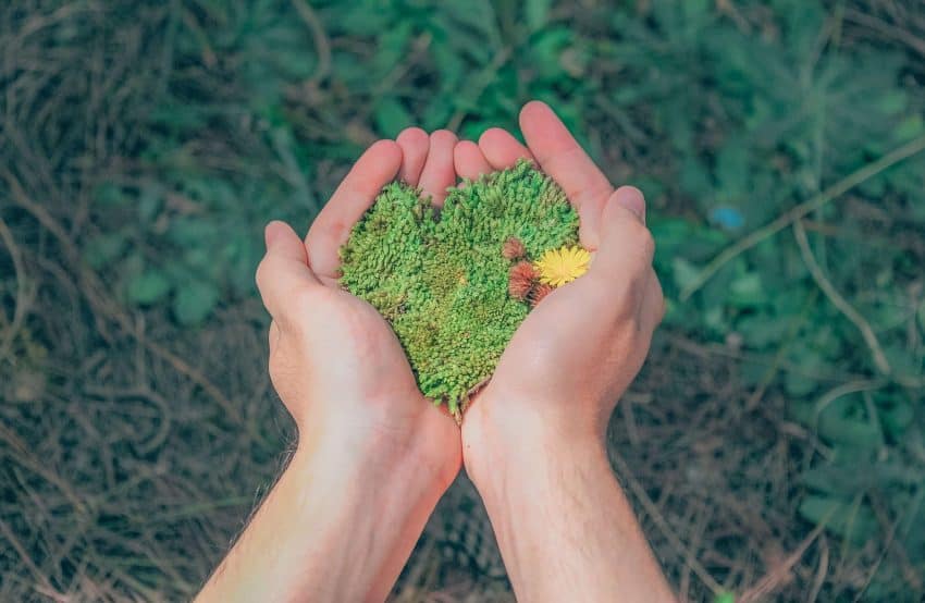 UoPeople student holding plants in hand in shape of heart