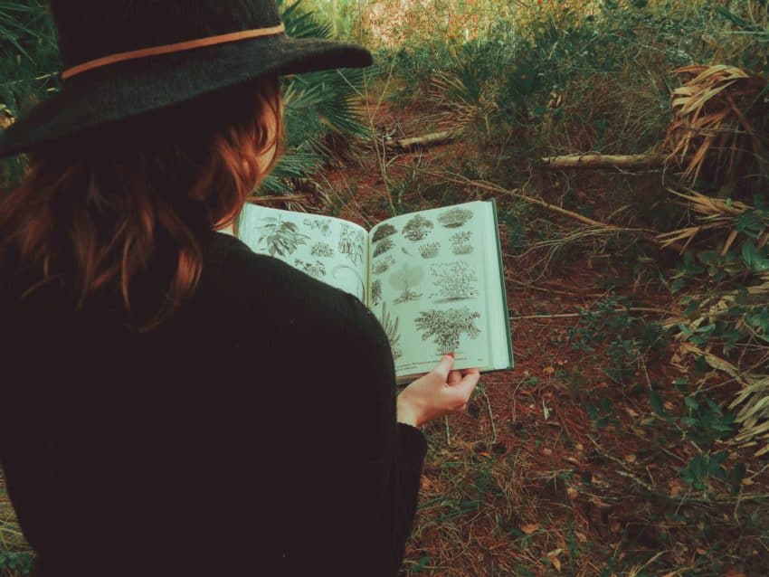 “University of the People student looking at naturalist drawings in a notebook”