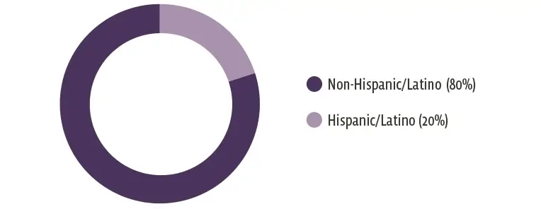 students-diversity-pie-chart