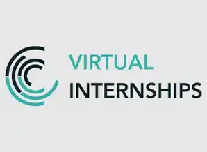 Virtual Internships