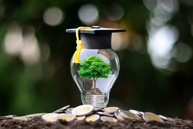 a visual including a tree growing inside a bulb, some coins,and a graduation cap atop