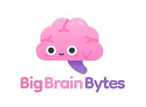 Big Brain Bytes
