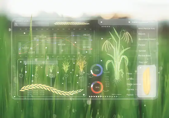 Agroecology Modelling