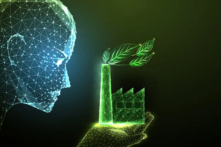Sustainability Through Software