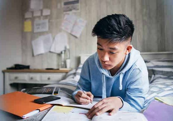 The-Pros-and-Cons-Should-Students-Have-Homework The-Pros-and-Cons-Should-Students-Have-Homework